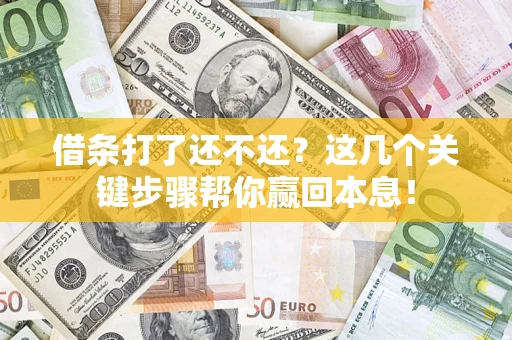 济南借条打了还不还？这几个关键步骤帮你赢回本息！