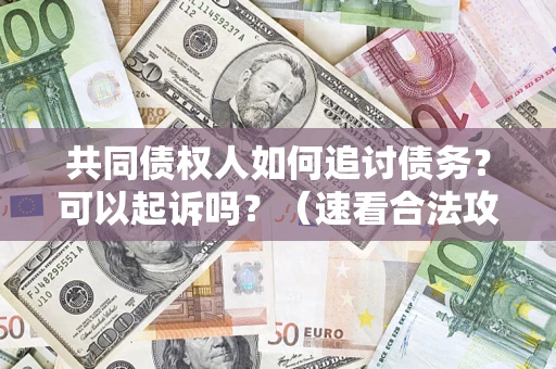 济南共同债权人如何追讨债务？可以起诉吗？（速看合法攻略）